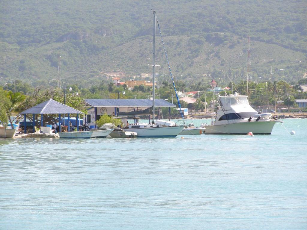Hotel Loro Tuerto Barahona Kültér fotó